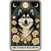 Alaskan Malamute