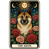 Akita