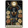 Australischer Rinderhund