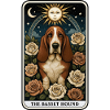 Basset