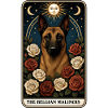 Belgischer Malinois