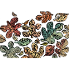 Leafs