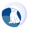 Mops Fellpflege Fell