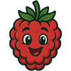 Happy Raspberry