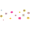 Petites fleurs