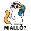 Chatpelle #1 - Miallô?