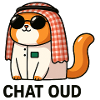 Chatpelle #3 - Chat Oud