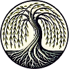 Weeping Willow