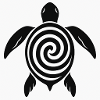Hypnotic turtle