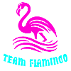 L’équipe Flamingo