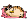 chat-claude