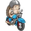 Moto hérisson