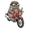 Mole Motorcycle