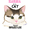 Bruce the Karma Kitten