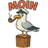 Moin Möwe