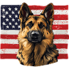 German Shepherd with USA Flag