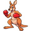 Kanguru Boxing Fight