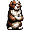 Bernhadiner Bernhardinerbesitzer Bernhardinerhund
