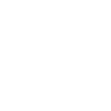 Lewin Lewin