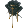 Black Rose Honey