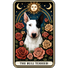Bullterrier