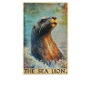 Seelöwen Seelöwe