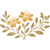 Johanniskraut - Botanisches Design für Mittsommer