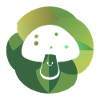 Vegetarian Edible Mushrooms