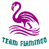 L’équipe Flamingo