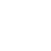 Island Summer Palm Trees