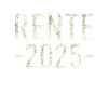 Pension 2025