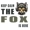 Keep calm - the fox is here