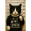 Chat de prison