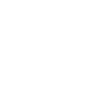 Palmier Île de l’océan