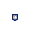 Chemise Virginia Fan – American Spirit