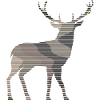Hirsch