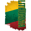 Vertical Lithuanian flag, Lithuanian pride