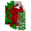 Vertical Welsh flag, Welsh pride