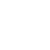 Vegvisir Kompass