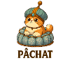 Chatpelle #16 - Pachat