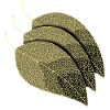 Leaves Decorative