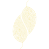 Leaves Decorative