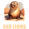 Seelöwen Seelöwe
