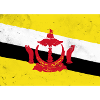 Flag of Brunei