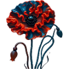 Mohnblume