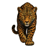 Leopard Design – Wild & Majestic