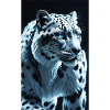 Schneeleopard | Leopard | Raubtier