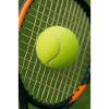 Sports - Tennis