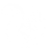 Eichhörnchen & Eichel: Waldbewohner