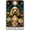 Cocker Spaniel